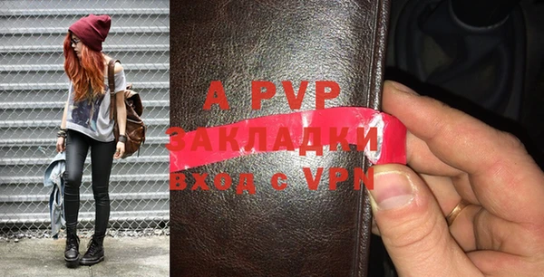 индика Баксан