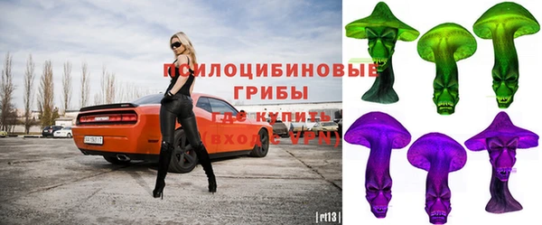 дурь Арсеньев
