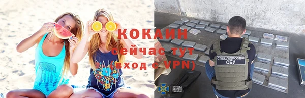 индика Баксан