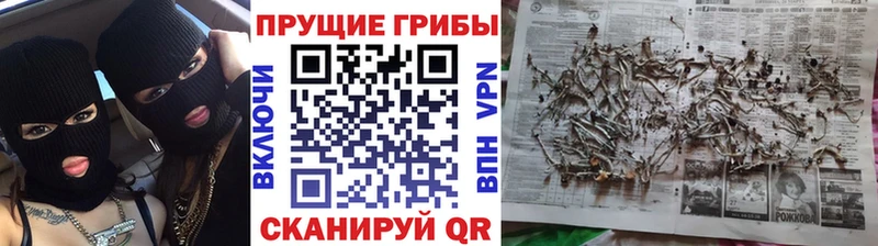 Галлюциногенные грибы Cubensis Будённовск